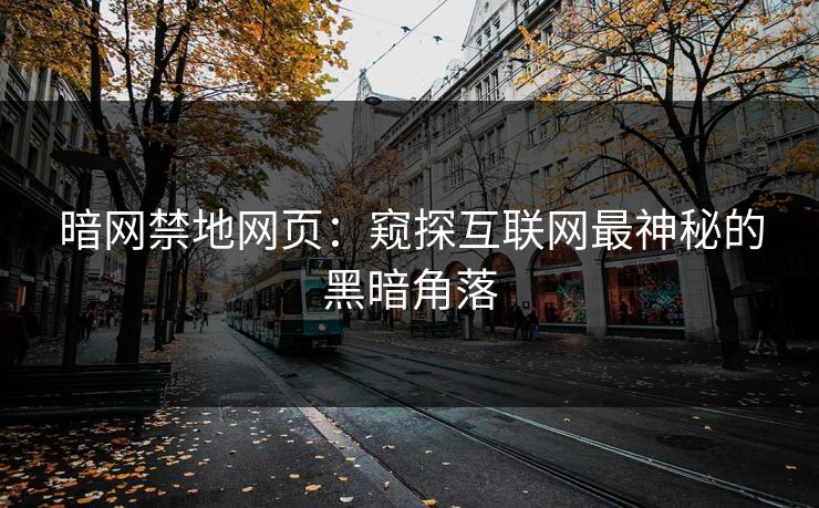 暗网禁地网页：窥探互联网最神秘的黑暗角落